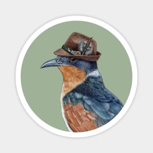 Chestnut-winged cuckoo Magnet